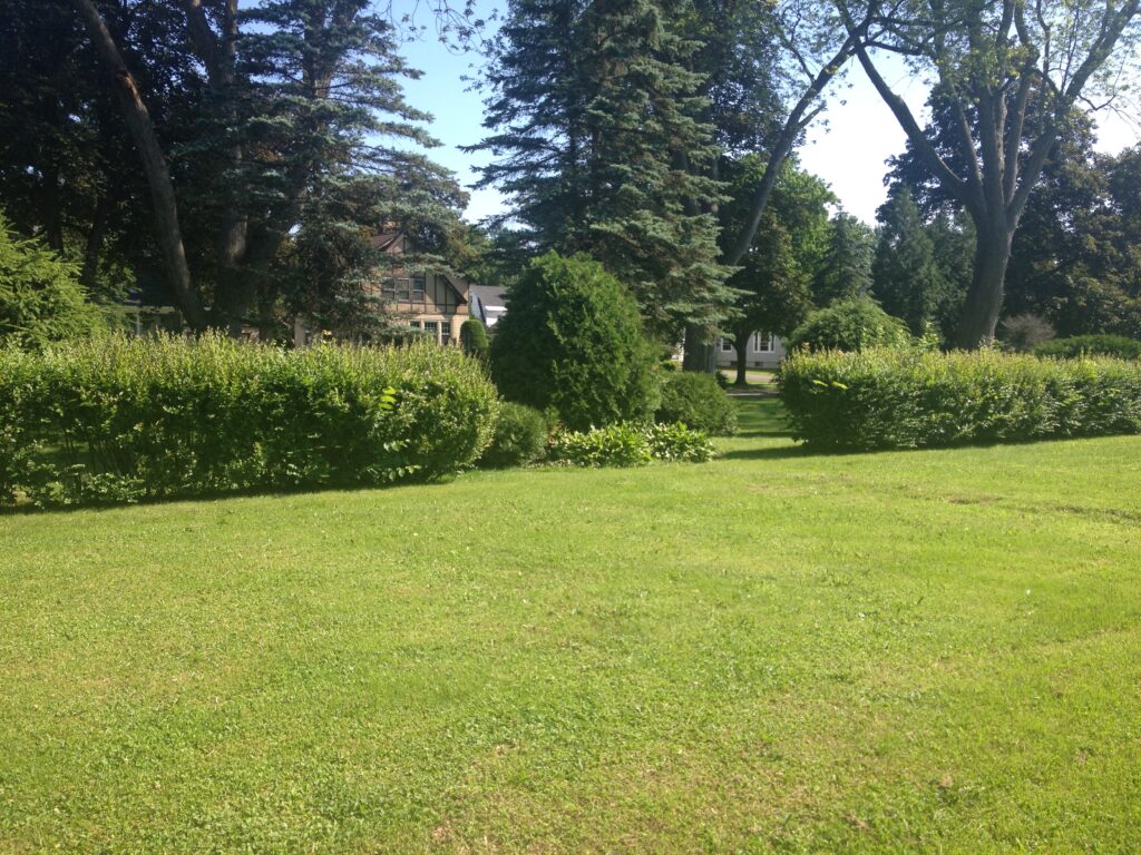 Melchior Park
