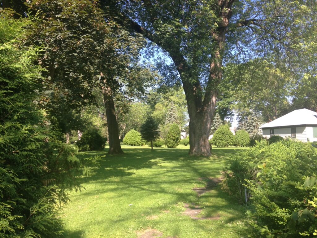 Melchior Park
