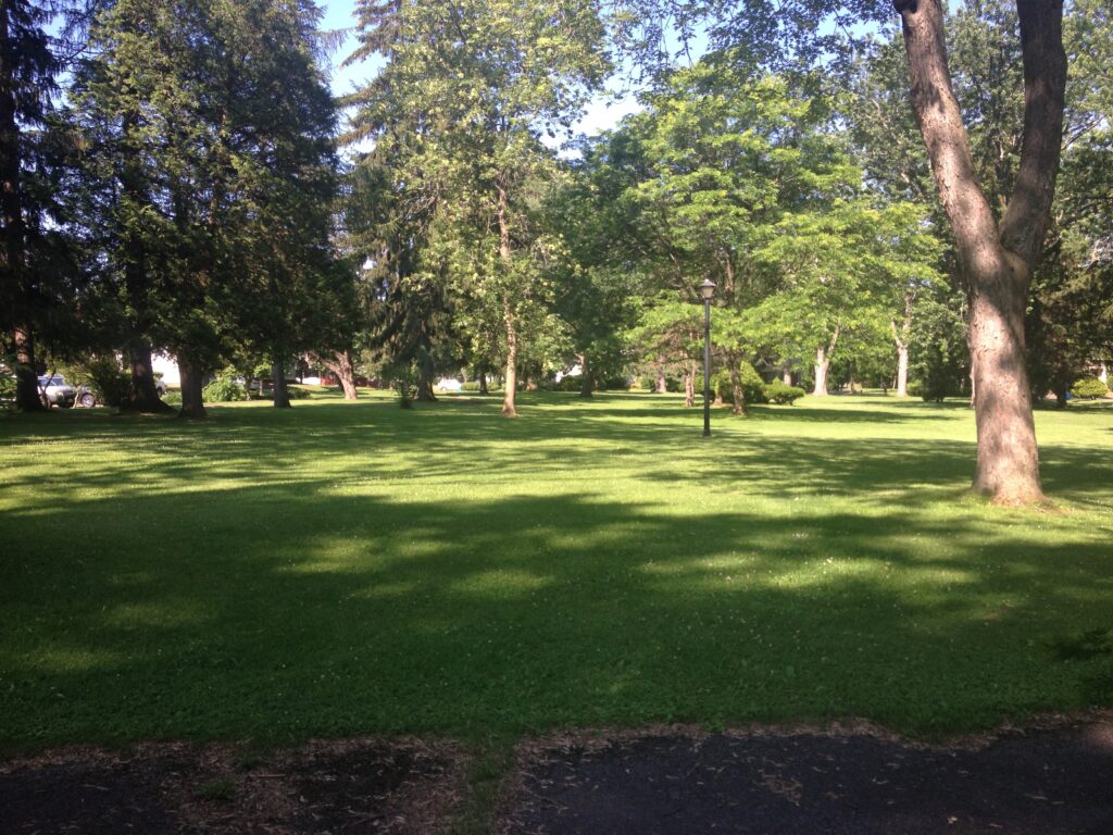 Melchior Park
