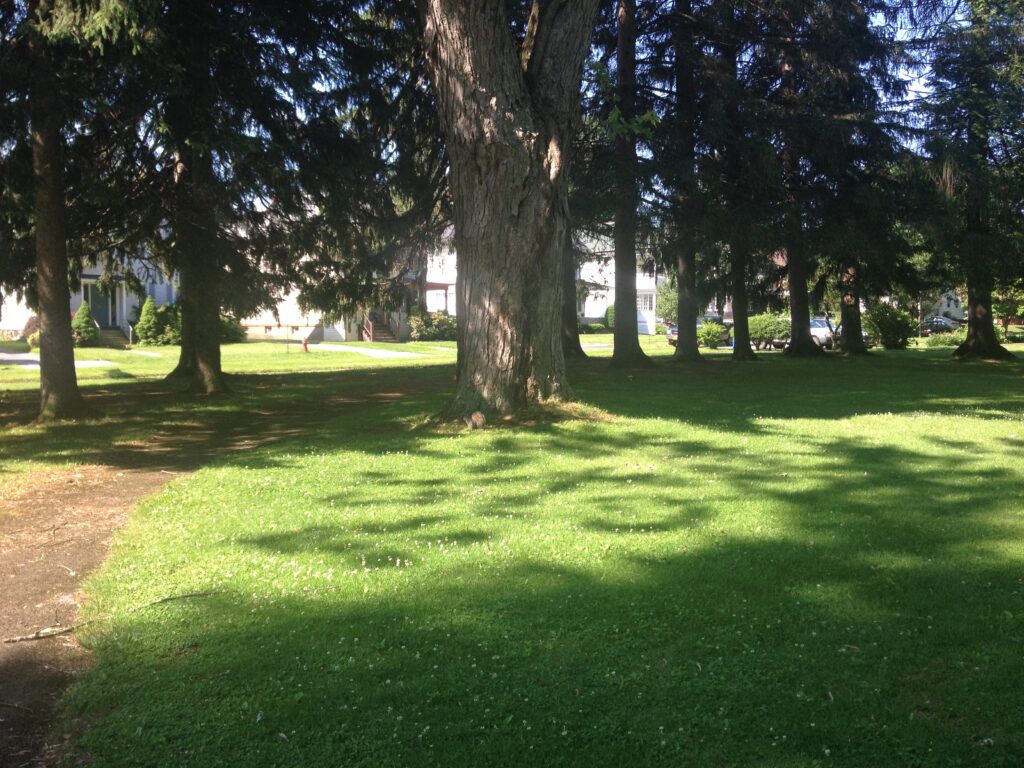 Melchior Park