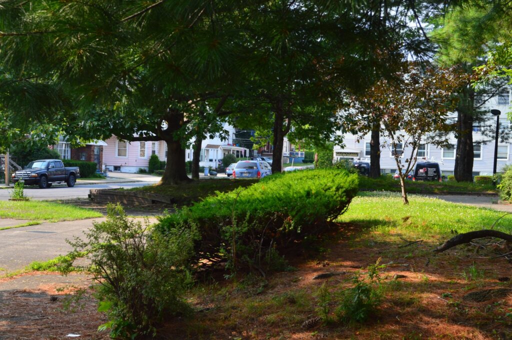 Wandel Park