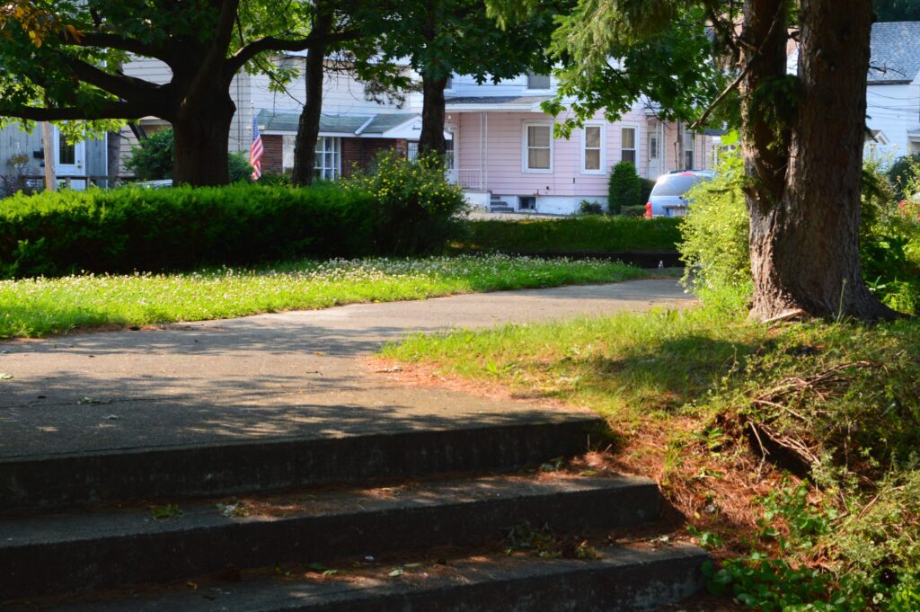 Wandel Park