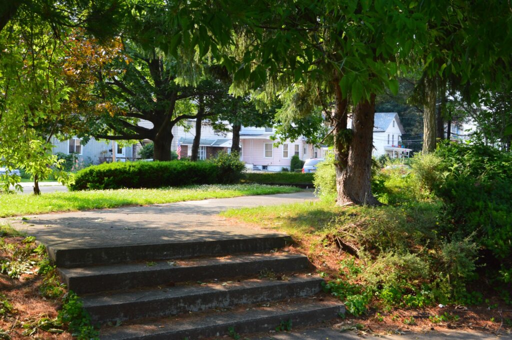 Wandel Park